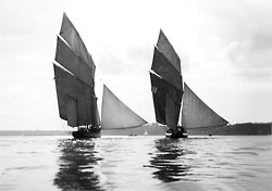 Voiles de bisquine